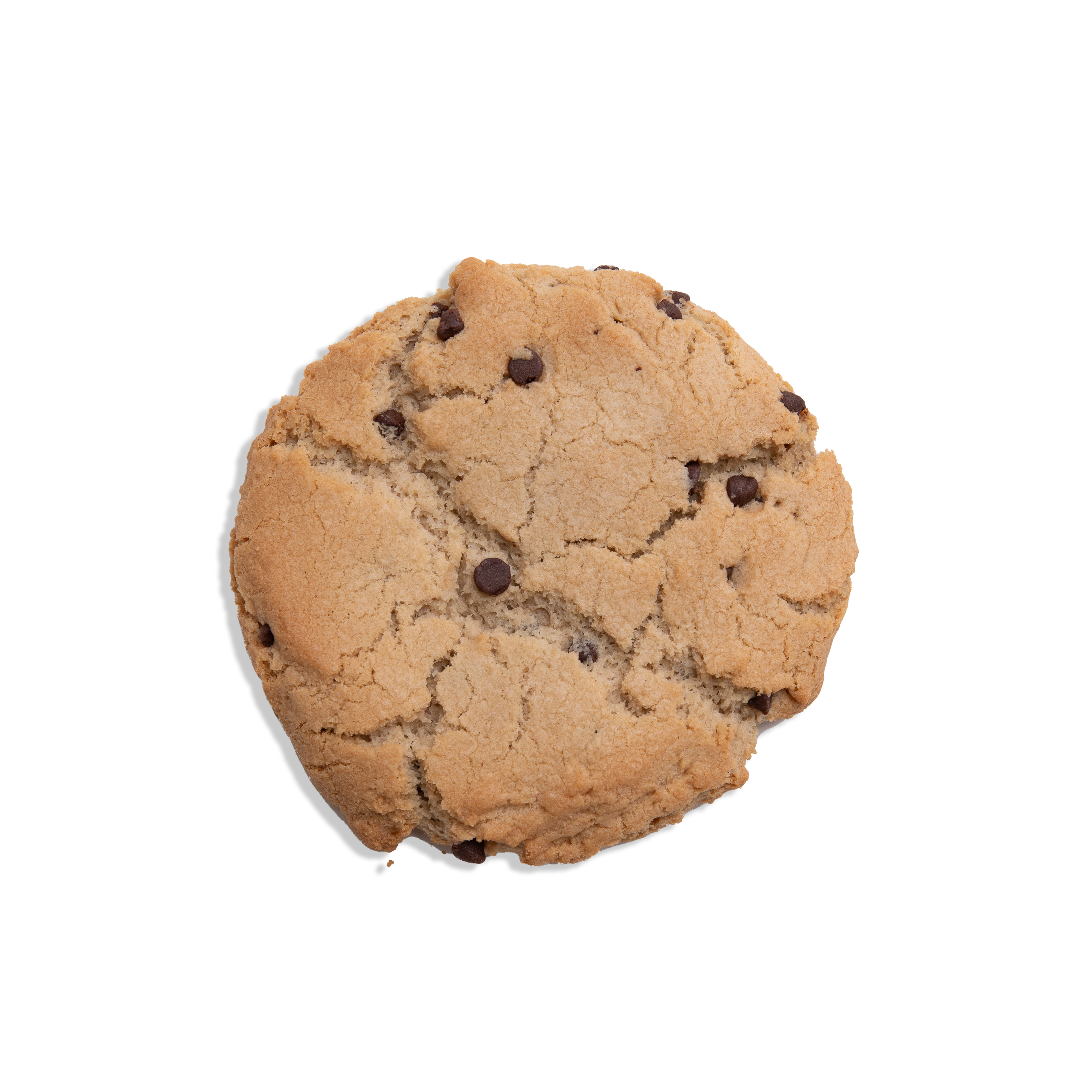 Chocolate Chip Cookie