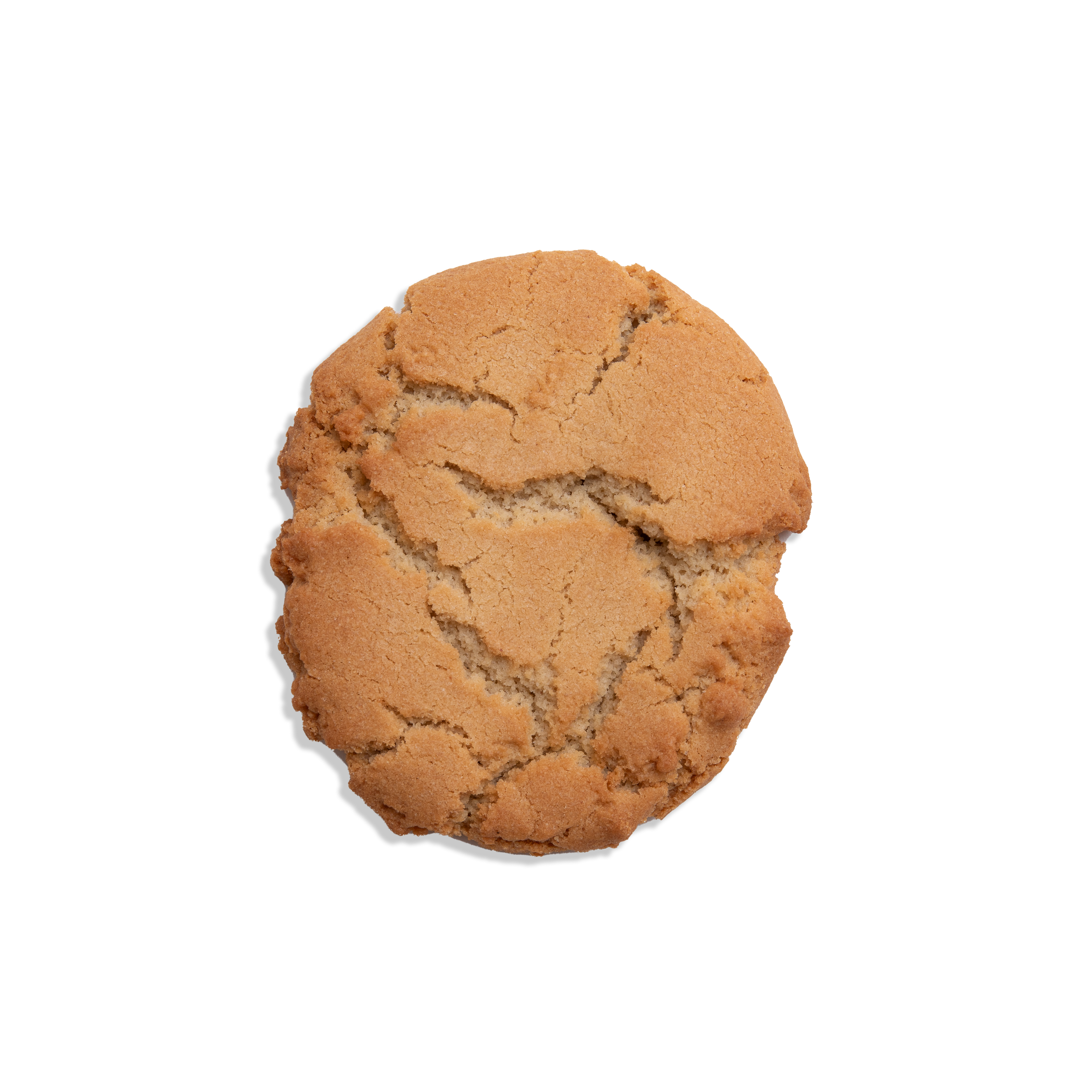 Peanut Butter Cookie