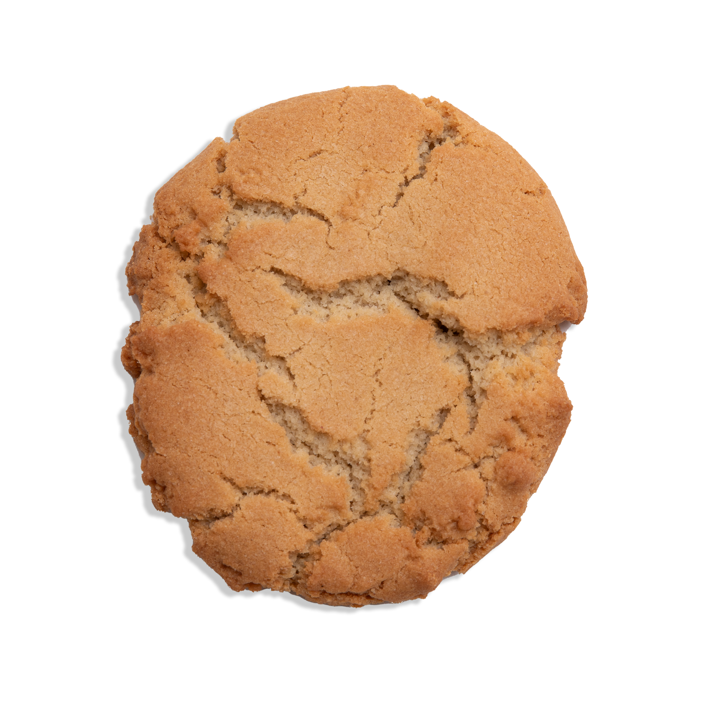 Gluten Free Chocolate Peanut Butter Cookie