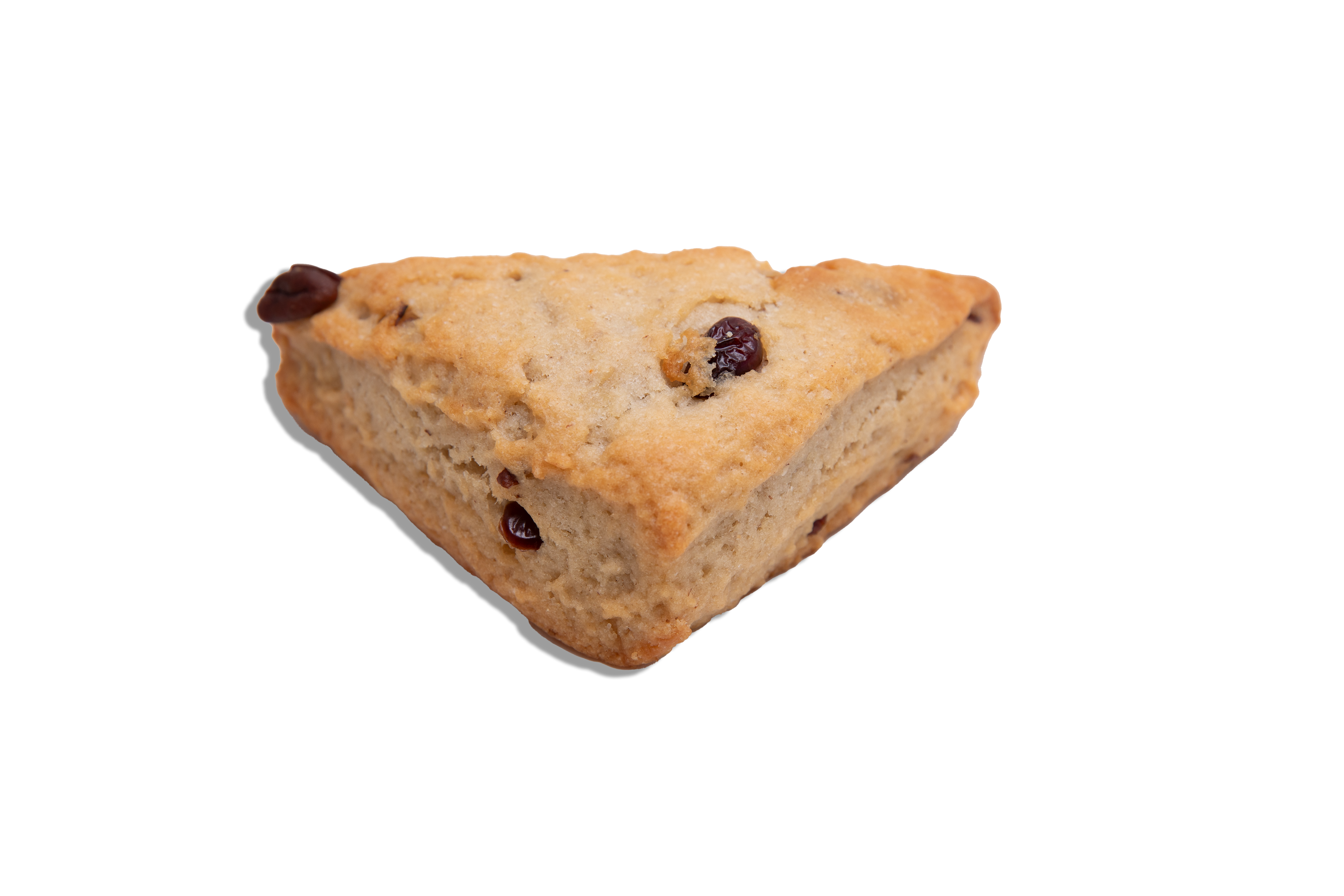 Cranberry Raisin Pecan Scone