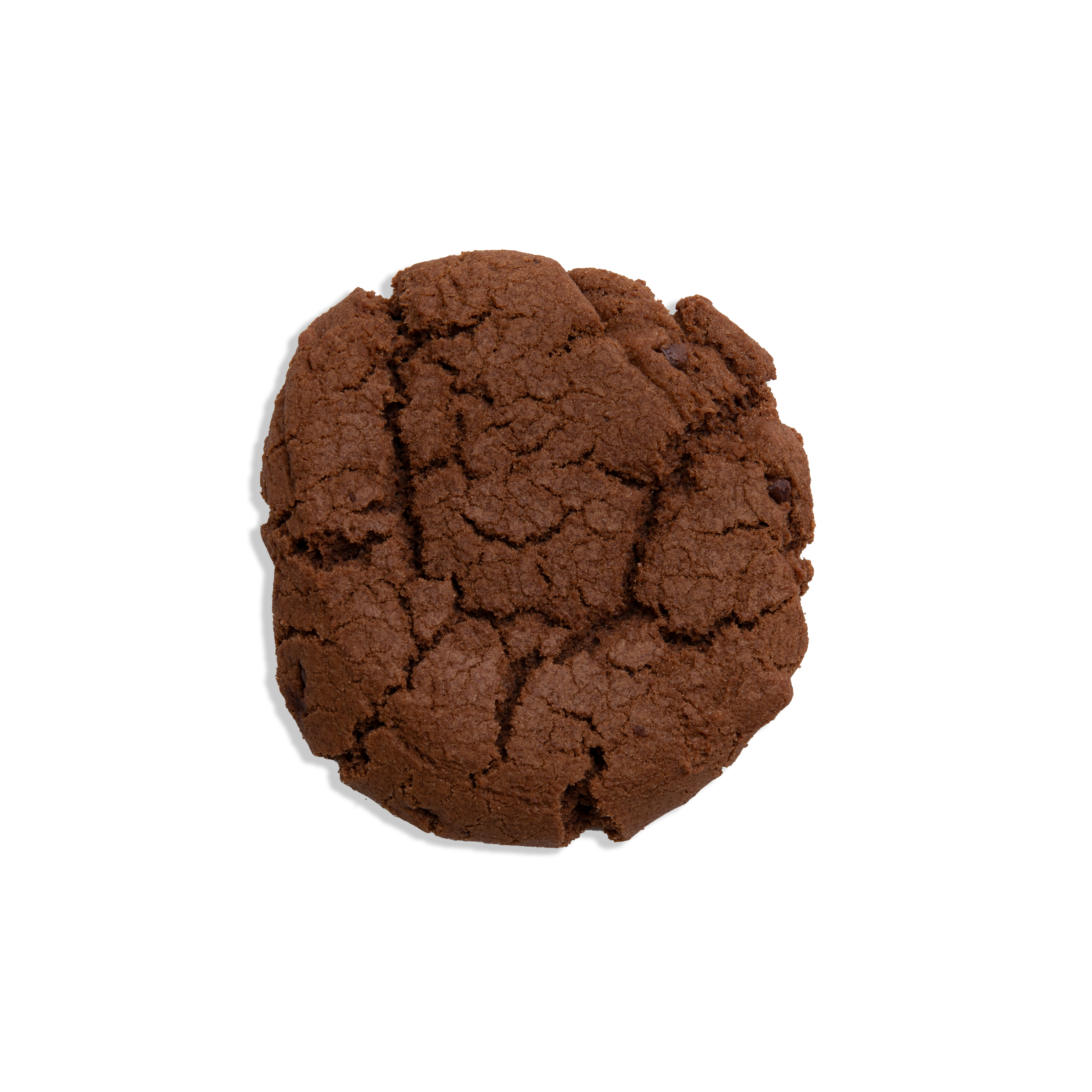 Double Chocolate Cookie