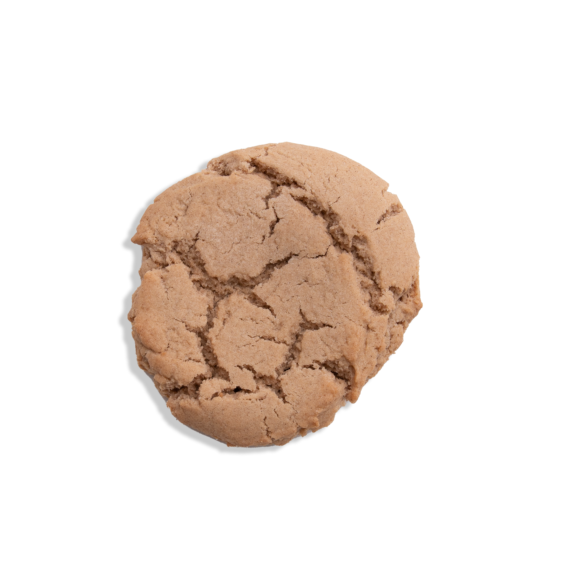 Snickerdoodle Cookie